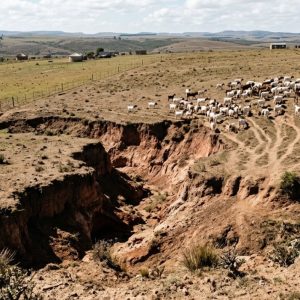 Natural Resource Management
