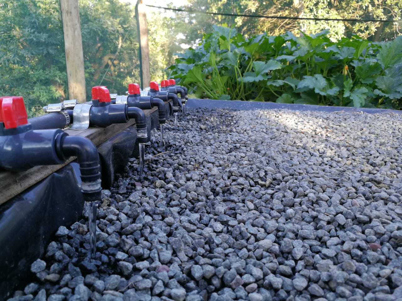 Hydroponics
