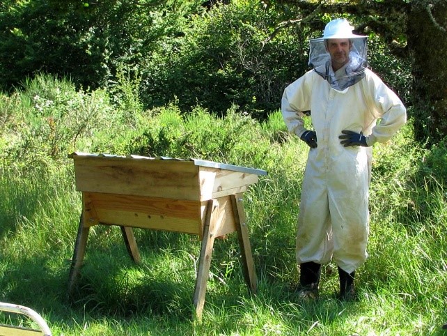 Beekeeping - Image 3