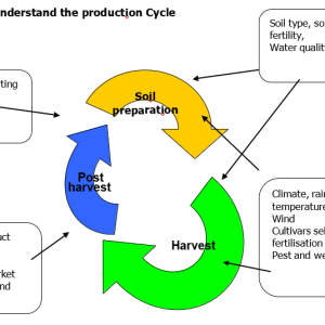 A Farmer Plans Ahead